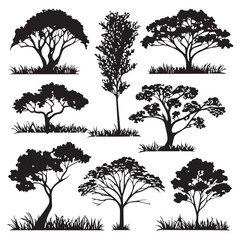 Obraz premium Collection of diverse silhouette deciduous and evergreen trees with detailed branches and grassy ground against a white background