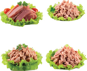 Freshly prepared tuna salad served on lettuce with garnishes for culinary illustration