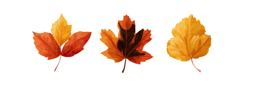 Three stylized autumn leaves in varying shades of orange and yellow