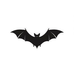 Fototapeta premium bat