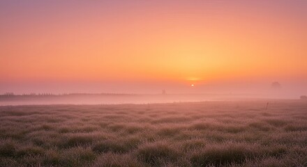 Fototapeta premium Misty Sunrise over Serene Grassland: Peaceful Dawn Landscape Photography