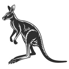 kangaroo