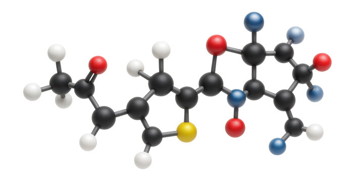 Acetyl-CoA molecule model with acetyl group and coenzyme A structure