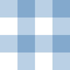 	
blue plaid	