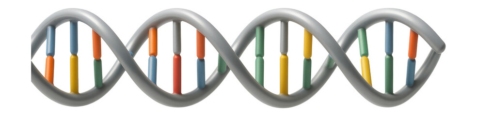 Neutral mutation with a codon change that does not affect the protein function