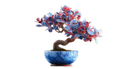 Vibrant bonsai in a patterned pot
