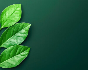 sustainable lifestyle with plant-based diets innovation. AI-enhanced systems glowing with real-time updates on plant-based product innovations, encouraging sustainable food trends