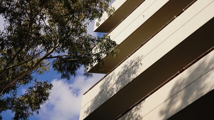 facade with white balconies against blue sky and tree top