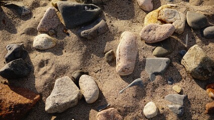 rocks in the sand as a background
