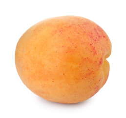 One fresh ripe apricot isolated on white