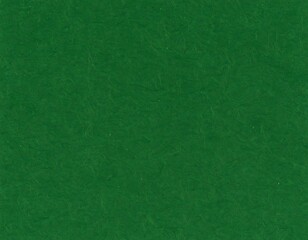 Solid deep green textured surface (1)