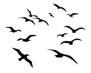 Seagull silhouette vector art flying birds