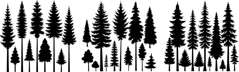 Fototapeta premium Set of Pine, Spruce and Fir Tree Silhouettes – Black Forest Vector Illustration on White Background