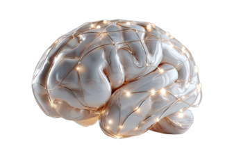 3D model of a brain, illuminated with glowing lights