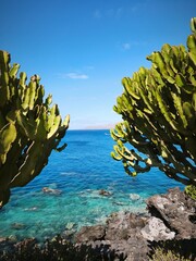 Beach of Lanzarote, great landscape coast - Canary Islands