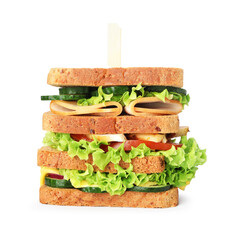Tasty sandwich with ham, cheese and vegetables isolated on white
