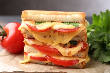 Tasty sandwiches with melted cheese, tomatoes and parsley on table, closeup