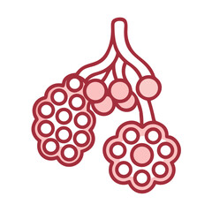 Stylized alveoli diagram on a black backdrop, medical illustration