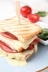 Delicious sandwich with melted cheese and ham on table, closeup