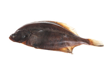 Fototapeta premium Fresh raw flounder fish isolated on white. Seafood