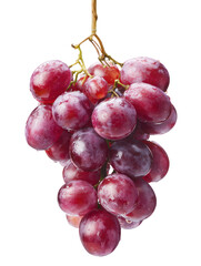 Fototapeta premium Bunch of Red Grapes with Water Drops on Vine, Ideal for Food Styling, Beverage Design, and Culinary Content