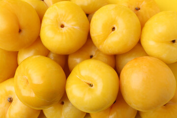 Many ripe yellow cherry plums as background, closeup