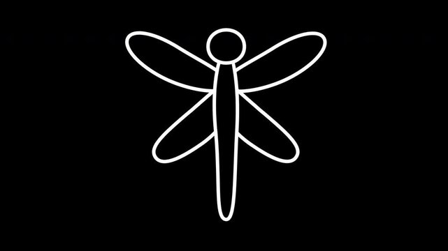 Animation of a dragonfly in minimalist style, simple insect outline, symbolic nature element, summer concept, decorative contour, modern motion graphics, eco design, overlay icon