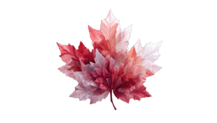 Vibrant autumn maple leaf graphic (1)