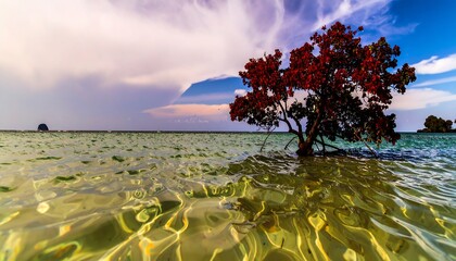 A vibrant red tree stands tall amidst shimmering, shallow water, bathed in the golden hues of sunlight filtering through a dramatic sky.