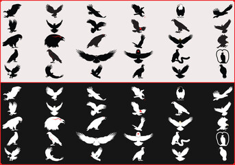 A compilation of eagle silhouettes in black and white with varying poses and wing positions shown