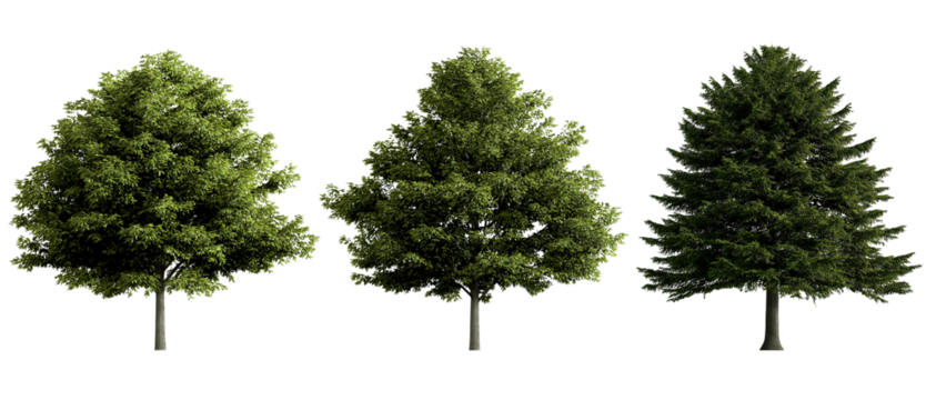 different types of trees with roots, on transparent background, cutout