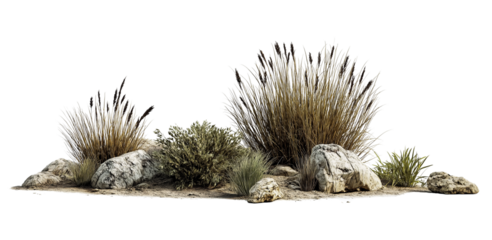 A realistic, isolated scene of small rocks and grasses, with a white background. The setting is a natural landscape, showcasing the texture and shape of each element in high detail.