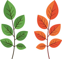 Obraz premium Two stylized branches with vibrant green leaves on one and warm orange and red autumn leaves on the other isolated on white