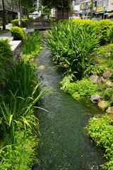 Lyuchuan Canal or Green Canal  in Taichung, Taiwan - 台湾 台中 緑川水岸廊道