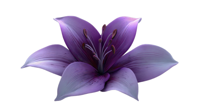 Detailed close-up of a vibrant purple lily