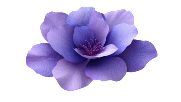 Delicate purple flower