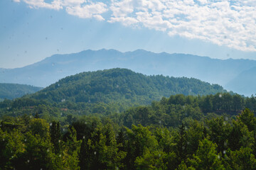 Fototapeta premium Scenic view showcasing a vast, lush forest covering rolling hills, set beneath a peaceful, cloudy sky, forming a tranquil and picturesque landscape filled with natural beauty