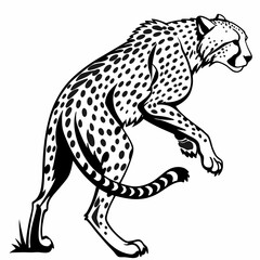 Fototapeta premium cheetah vinyl ready vector illustration