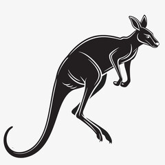 kangaroo vector illustration