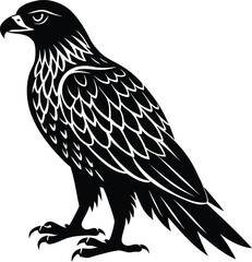 Majestic Black and White Hawk Bird Illustration on white background