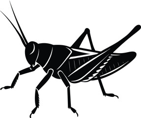 Black and White Grasshopper Silhouette Illustration on white background