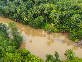 Sao Tome and Principe - Aerial View. Tropical Paradise Forest Jungle With Palm Trees Near Praia...