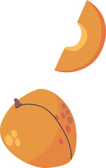 Ripe apricot fruit vector illustration
