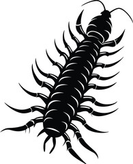 Silhouette of a Centipede on white background