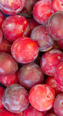 Fresh red and purple plums close up for healthy summer food background