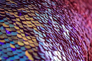Fish scale sequins © Becky