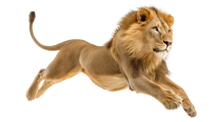 Majestic Lion in Dynamic Leap Motion, PNG clipart element with transparency