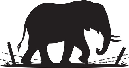 Elephant Silhouette Walking Past Barbed Wire Fence Symbolizing Wildlife Conservation