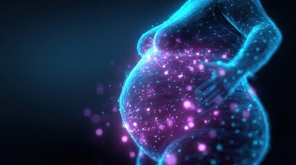 Medical visualization of a pregnant woman's abdomen, highlighting fat metabolism and hormonal changes during pregnancy, providing insights into prenatal care and fetal development