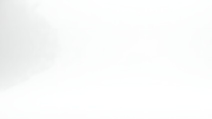 Fototapeta premium Perfectly smooth plain white background,